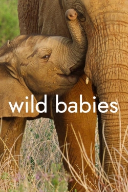 Wild Babies-free