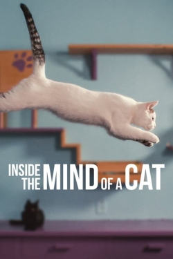 Inside the Mind of a Cat-free