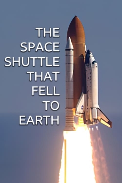 The Space Shuttle That Fell to Earth-free