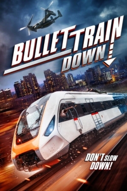 Bullet Train Down-free