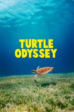 Turtle Odyssey-free
