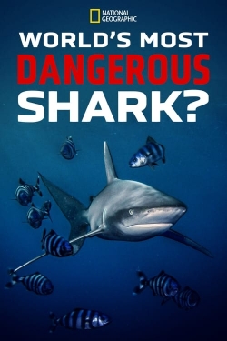 World's Most Dangerous Shark?-free