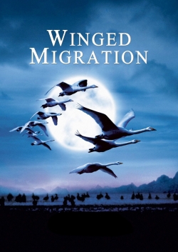Winged Migration-free