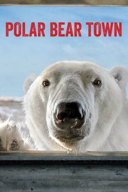 Polar Bear Town-free